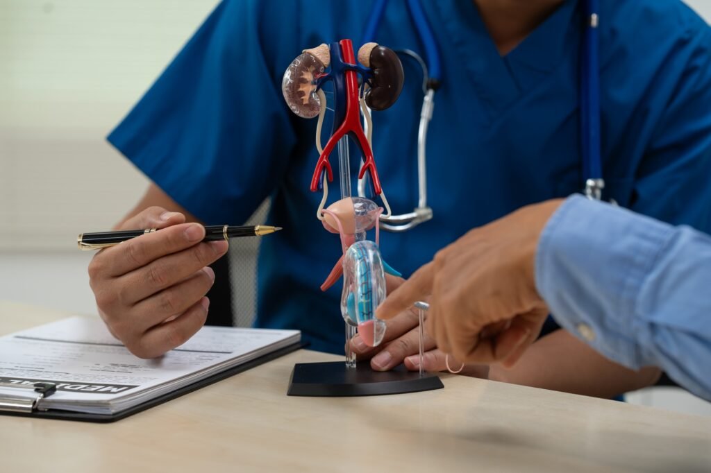 A male doctor sits works at the table, explaining the urinary system and penile health to anxious